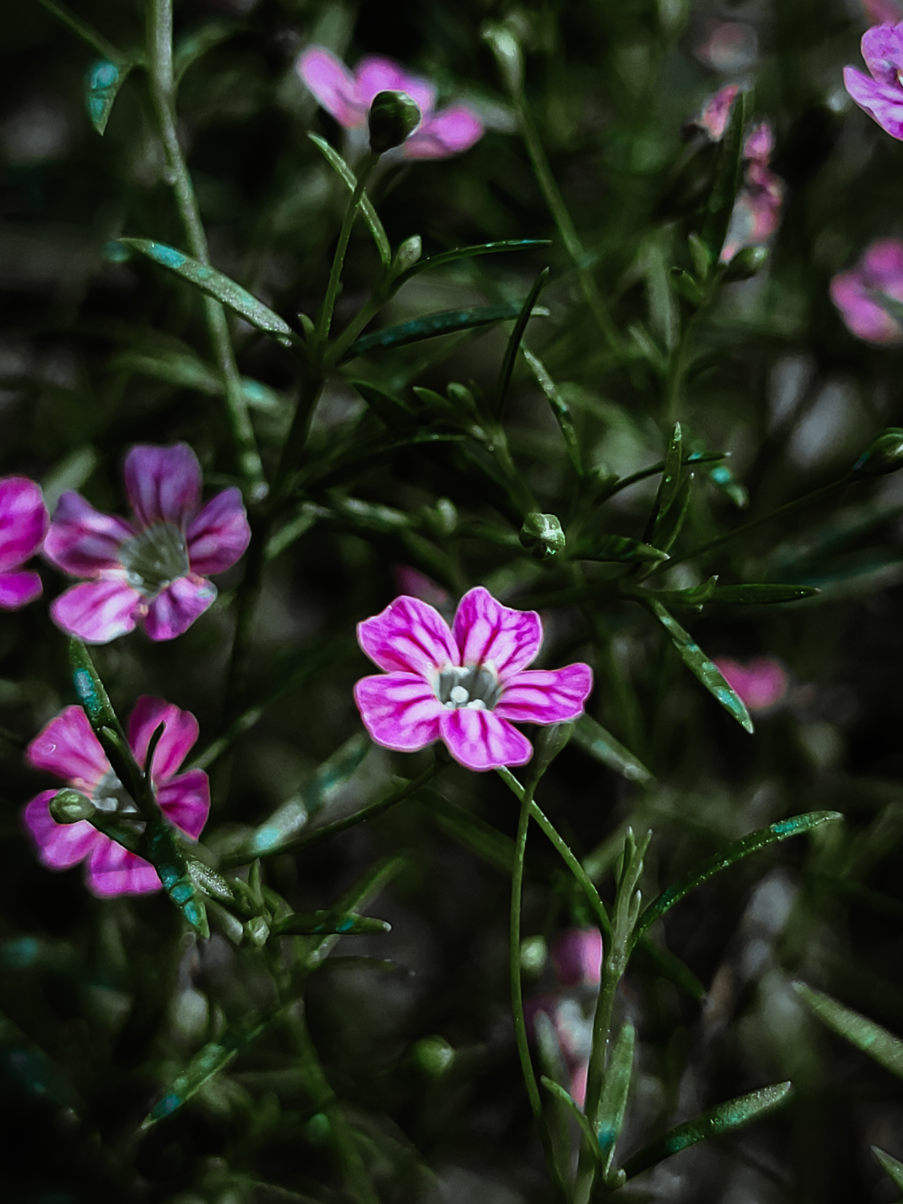 Photography 9